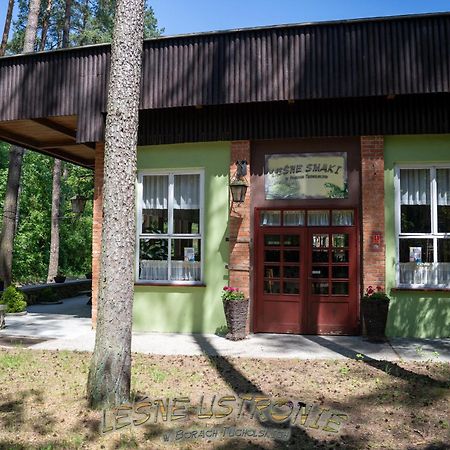 Villa "Lesne Ustronie" Byslaw Exterior foto