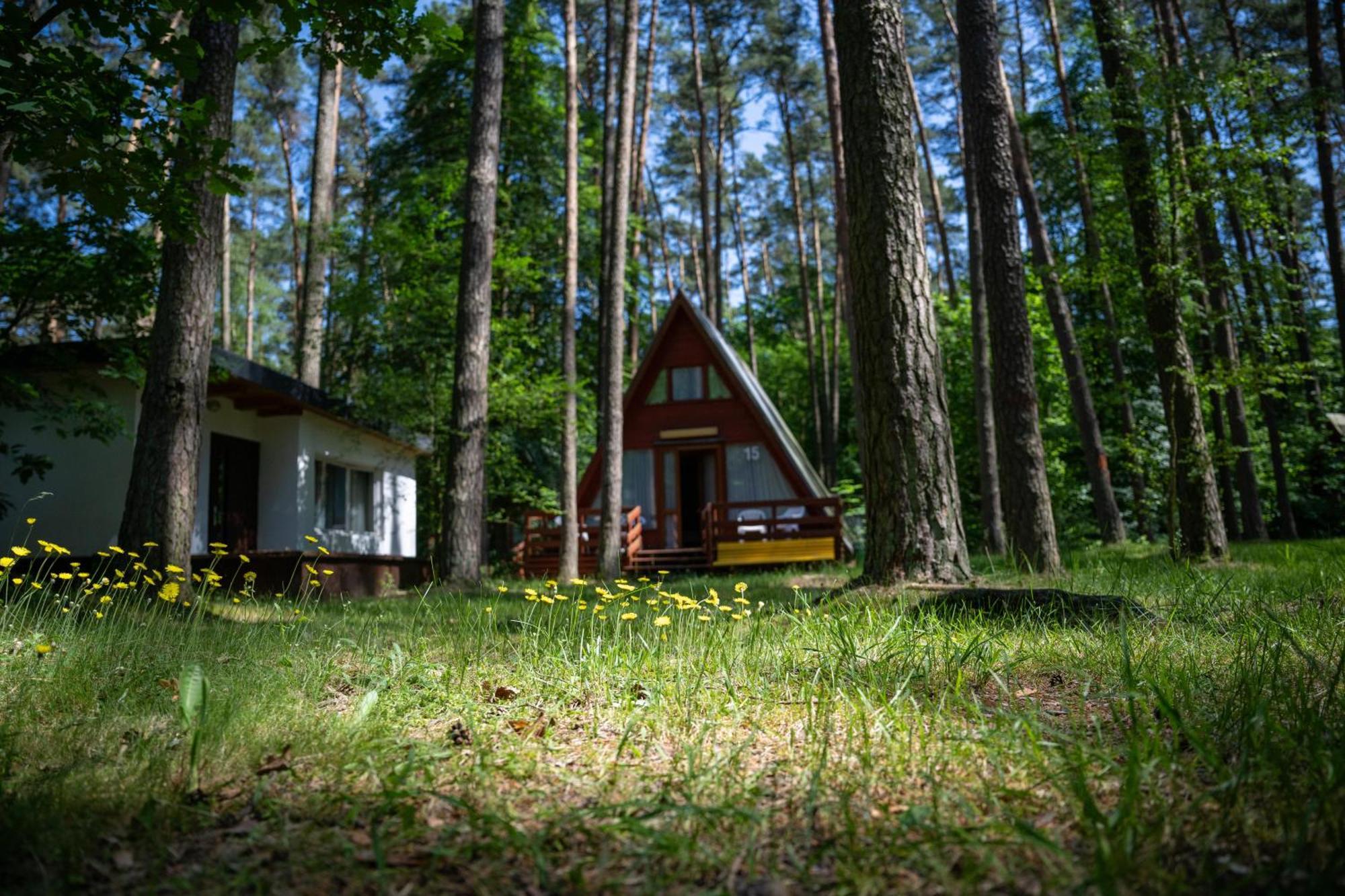 Villa "Lesne Ustronie" Byslaw Exterior foto